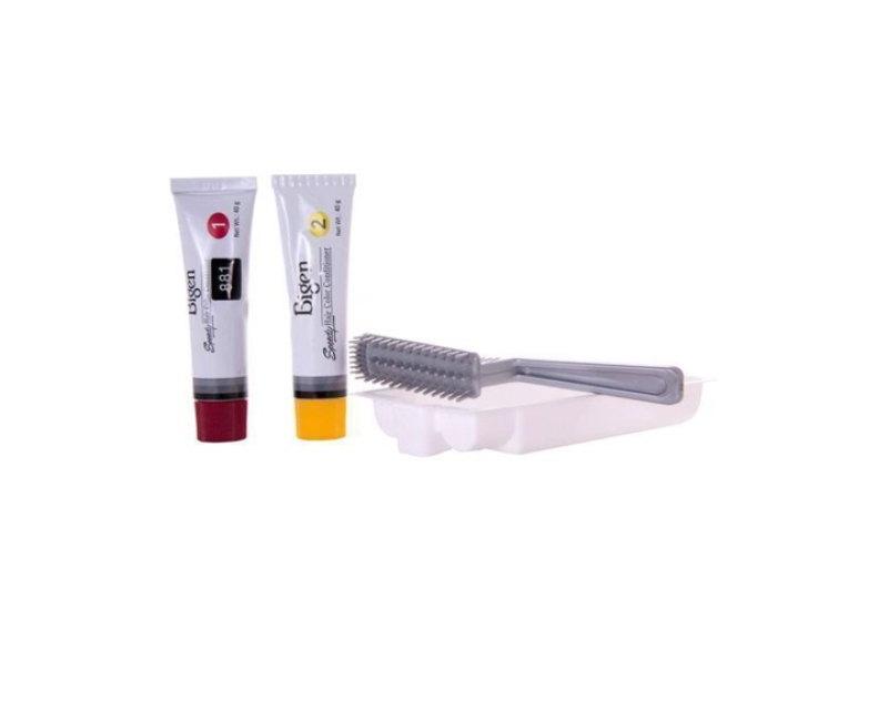 Bigen Speedy Hair Color Conditioner Natural Black 881