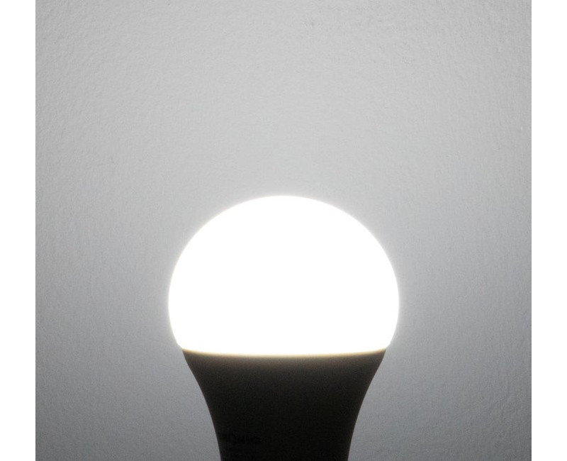 Bulb LED Tronic 15W E27 DL LE 1527-DL