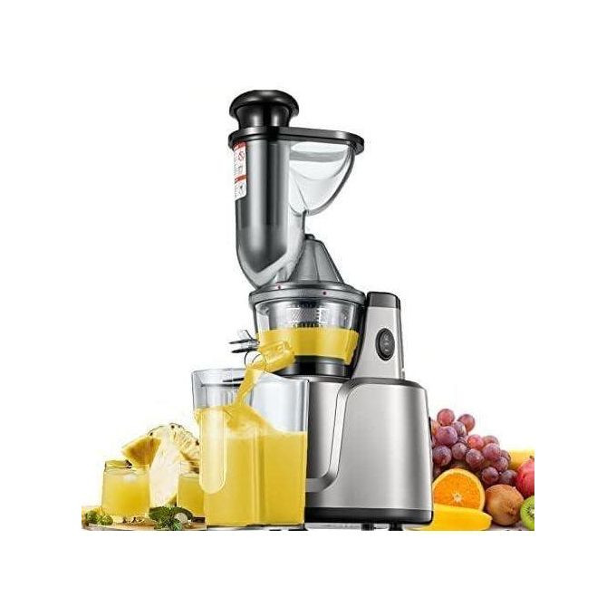 2 in 1 Slow Juicer, 75 mm Filling Opening, Juicer with Two Filters for Vegetables and Fruit, Baby Food and Ice Cream, Silent, Juice Recipe, Pre-Cleaning Function, Vertical- Silver