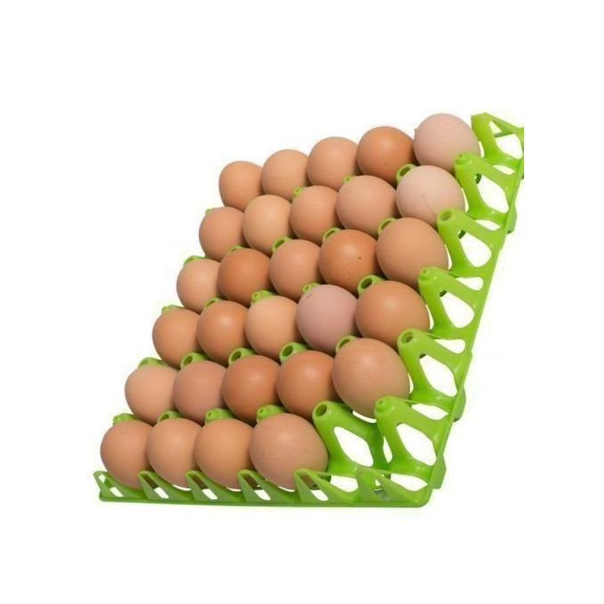 Egg Organizer- Multi Color