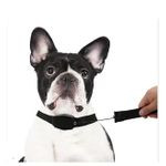 Retractable Dog Leash & Collar For Pet Dogs - Black,