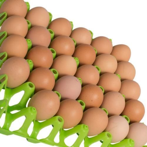 1pc Plastic Egg Tray - Multicolor