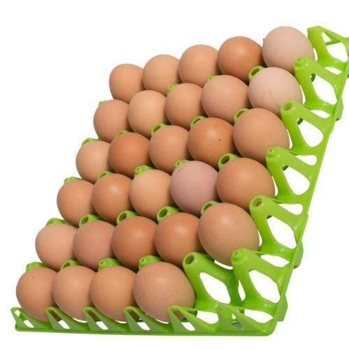 1pc Plastic Egg Tray - Multicolor